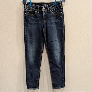 Silver | Skinny Crop Jeans | Size 29 x 25